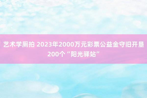 艺术学厕拍 2023年2000万元彩票公益金守旧开垦200个“阳光驿站”