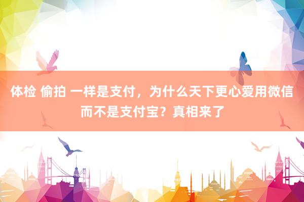 体检 偷拍 一样是支付，为什么天下更心爱用微信而不是支付宝？真相来了