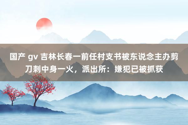 国产 gv 吉林长春一前任村支书被东说念主办剪刀刺中身一火，派出所：嫌犯已被抓获