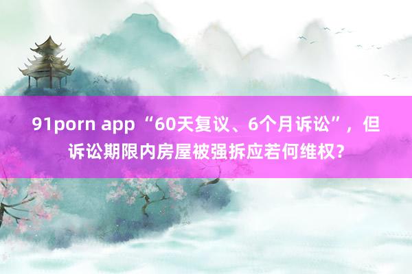 91porn app “60天复议、6个月诉讼”，但诉讼期限内房屋被强拆应若何维权？