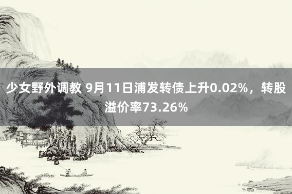 少女野外调教 9月11日浦发转债上升0.02%，转股溢价率73.26%