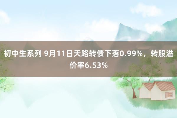 初中生系列 9月11日天路转债下落0.99%，转股溢价率6.53%