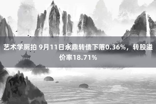 艺术学厕拍 9月11日永鼎转债下落0.36%，转股溢价率18.71%