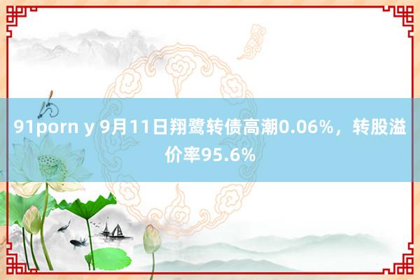 91porn y 9月11日翔鹭转债高潮0.06%，转股溢价率95.6%