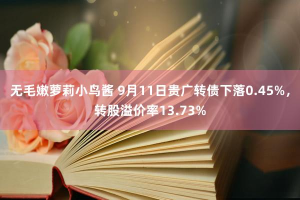 无毛嫩萝莉小鸟酱 9月11日贵广转债下落0.45%，转股溢价率13.73%