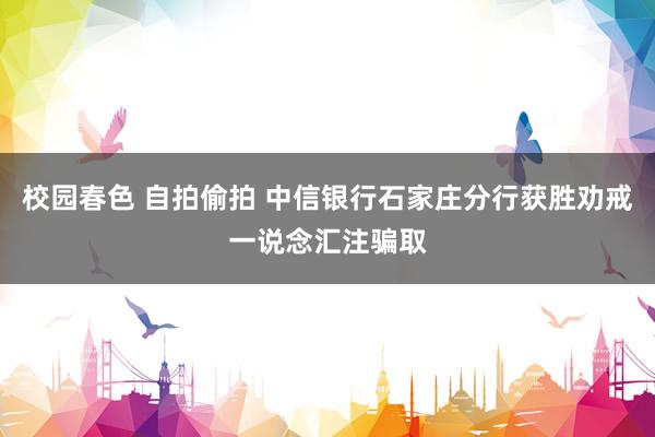 校园春色 自拍偷拍 中信银行石家庄分行获胜劝戒一说念汇注骗取