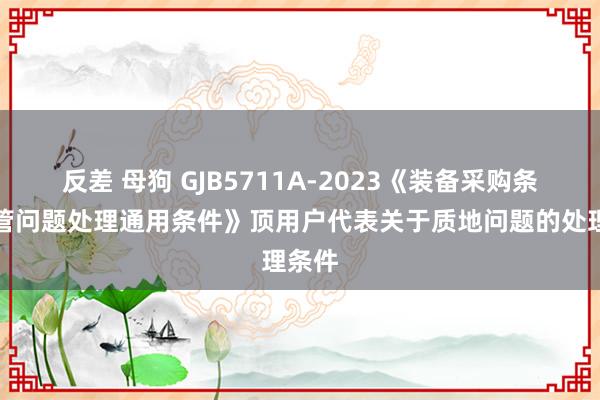 反差 母狗 GJB5711A-2023《装备采购条约监管问题处理通用条件》顶用户代表关于质地问题的处理条件