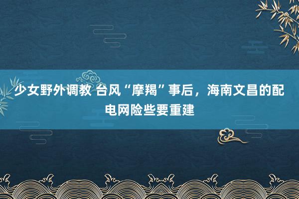 少女野外调教 台风“摩羯”事后，海南文昌的配电网险些要重建