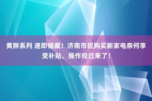 黄胖系列 速即储藏！济南市民购买新家电奈何享受补贴，操作经过来了！