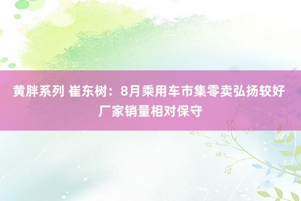 黄胖系列 崔东树：8月乘用车市集零卖弘扬较好 厂家销量相对保守