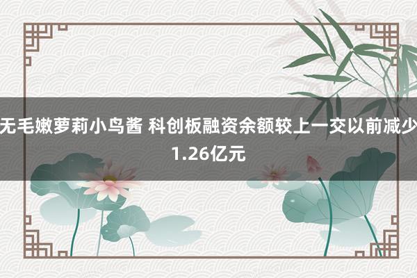 无毛嫩萝莉小鸟酱 科创板融资余额较上一交以前减少1.26亿元