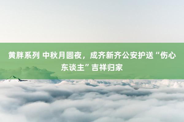 黄胖系列 中秋月圆夜，成齐新齐公安护送“伤心东谈主”吉祥归家