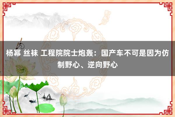 杨幂 丝袜 工程院院士炮轰：国产车不可是因为仿制野心、逆向野心