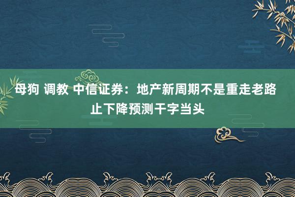 母狗 调教 中信证券：地产新周期不是重走老路 止下降预测干字当头