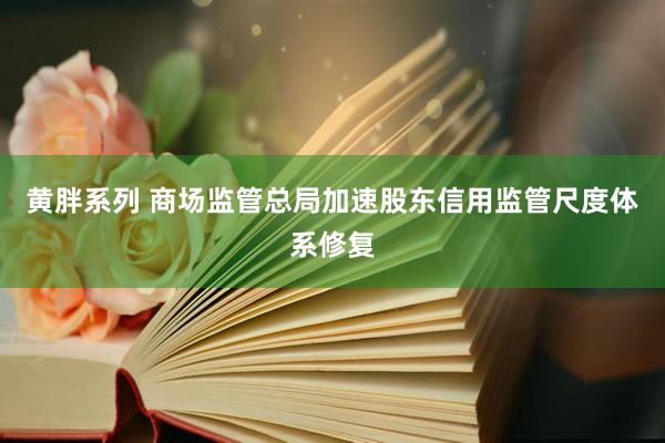 黄胖系列 商场监管总局加速股东信用监管尺度体系修复