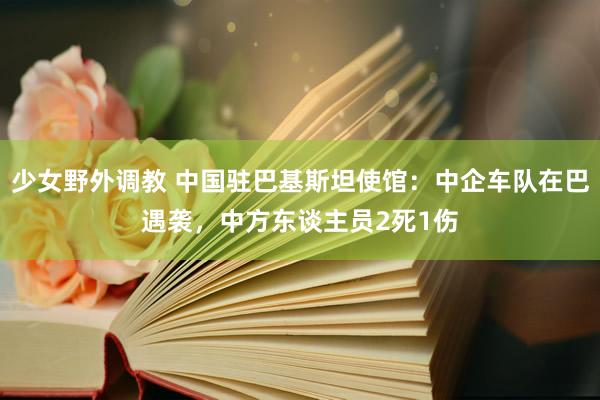 少女野外调教 中国驻巴基斯坦使馆：中企车队在巴遇袭，中方东谈主员2死1伤