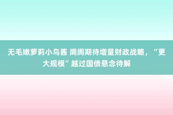 无毛嫩萝莉小鸟酱 阛阓期待增量财政战略，“更大规模”越过国债悬念待解