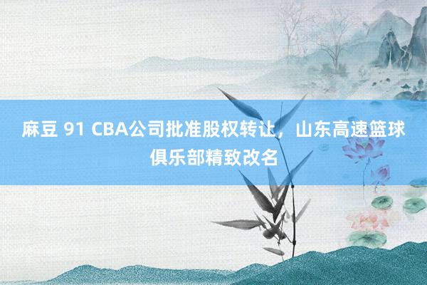 麻豆 91 CBA公司批准股权转让，山东高速篮球俱乐部精致改名