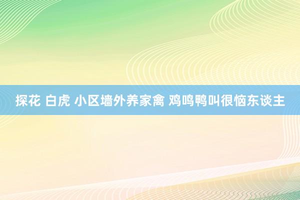 探花 白虎 小区墙外养家禽 鸡鸣鸭叫很恼东谈主