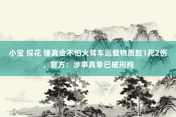 小宝 探花 锤真金不怕火驾车运载物质致1死2伤，官方：涉事真挚已被刑拘