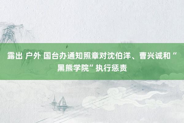 露出 户外 国台办通知照章对沈伯洋、曹兴诚和“黑熊学院”执行惩责