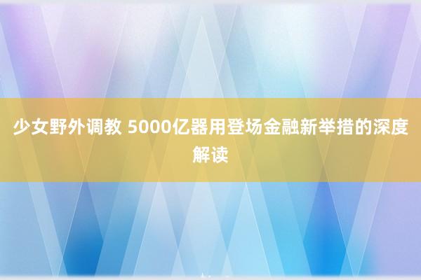 少女野外调教 5000亿器用登场金融新举措的深度解读