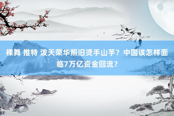 裸舞 推特 泼天荣华照旧烫手山芋？中国该怎样面临7万亿资金回流？