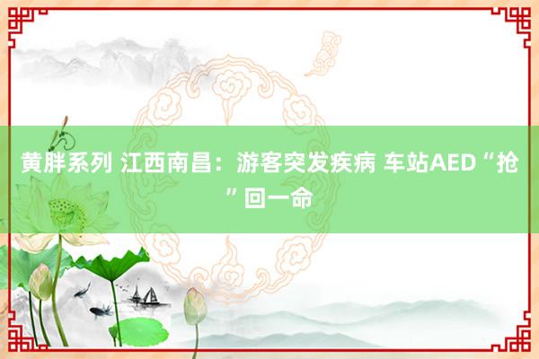 黄胖系列 江西南昌：游客突发疾病 车站AED“抢”回一命