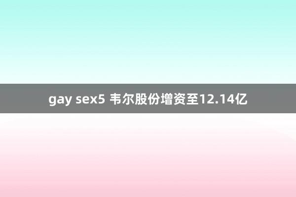 gay sex5 韦尔股份增资至12.14亿