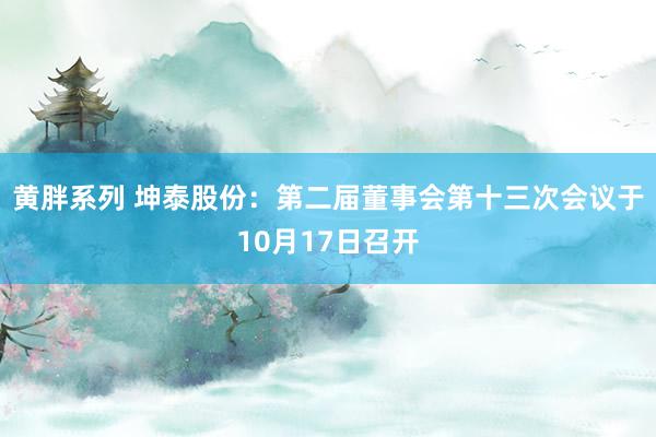 黄胖系列 坤泰股份：第二届董事会第十三次会议于10月17日召开