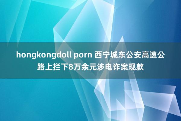 hongkongdoll porn 西宁城东公安高速公路上拦下8万余元涉电诈案现款