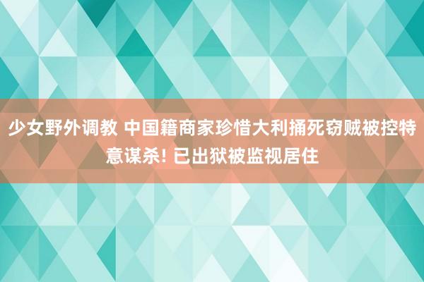 少女野外调教 中国籍商家珍惜大利捅死窃贼被控特意谋杀! 已出狱被监视居住