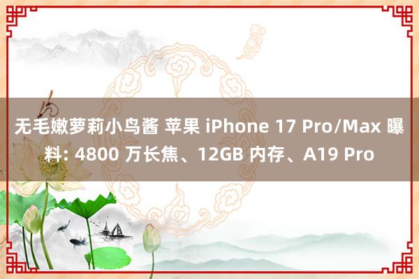 无毛嫩萝莉小鸟酱 苹果 iPhone 17 Pro/Max 曝料: 4800 万长焦、12GB 内存、A19 Pro