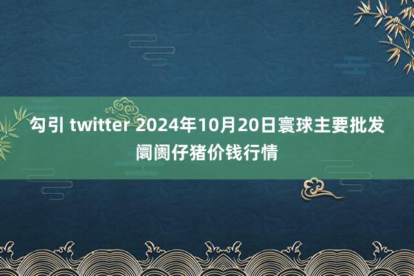 勾引 twitter 2024年10月20日寰球主要批发阛阓仔猪价钱行情