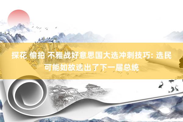 探花 偷拍 不雅战好意思国大选冲刺技巧: 选民可能如故选出了下一届总统