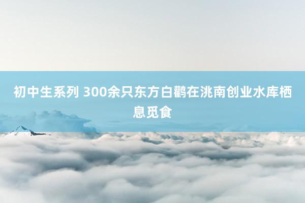 初中生系列 300余只东方白鹳在洮南创业水库栖息觅食