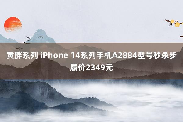 黄胖系列 iPhone 14系列手机A2884型号秒杀步履价2349元