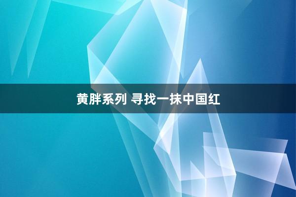 黄胖系列 寻找一抹中国红