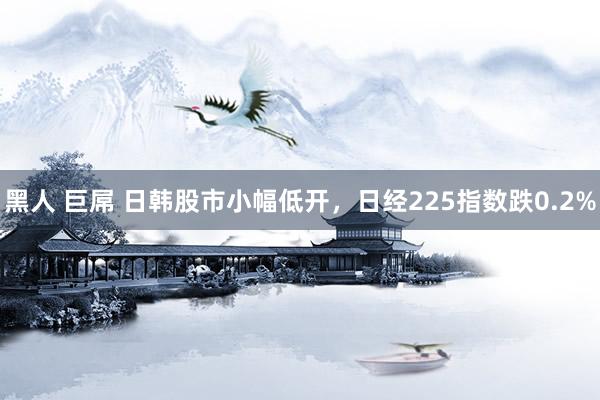 黑人 巨屌 日韩股市小幅低开，日经225指数跌0.2%