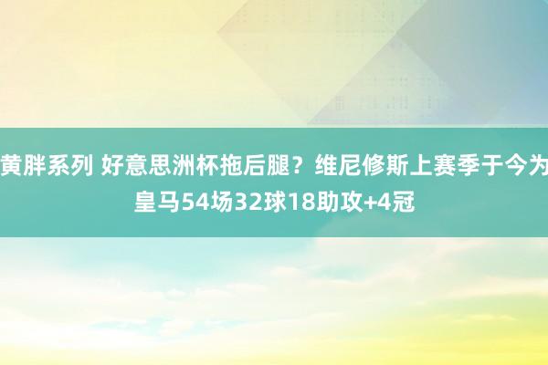 黄胖系列 好意思洲杯拖后腿？维尼修斯上赛季于今为皇马54场32球18助攻+4冠