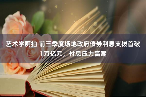 艺术学厕拍 前三季度场地政府债券利息支拨首破1万亿元，付息压力高潮