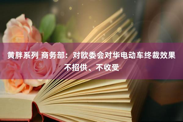 黄胖系列 商务部：对欧委会对华电动车终裁效果不招供、不收受