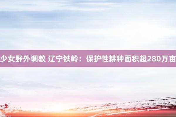 少女野外调教 辽宁铁岭：保护性耕种面积超280万亩