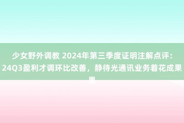 少女野外调教 2024年第三季度证明注解点评：24Q3盈利才调环比改善，静待光通讯业务着花成果