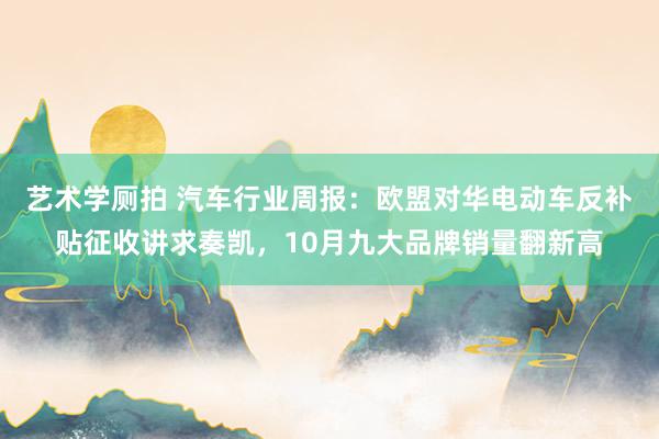 艺术学厕拍 汽车行业周报：欧盟对华电动车反补贴征收讲求奏凯，10月九大品牌销量翻新高