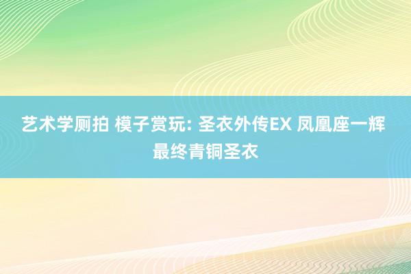 艺术学厕拍 模子赏玩: 圣衣外传EX 凤凰座一辉 最终青铜圣衣