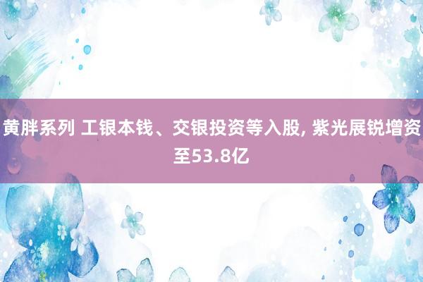 黄胖系列 工银本钱、交银投资等入股， 紫光展锐增资至53.8亿