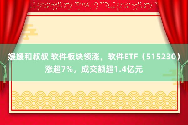 媛媛和叔叔 软件板块领涨，软件ETF（515230）涨超7%，成交额超1.4亿元