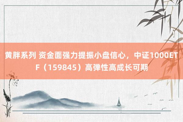 黄胖系列 资金面强力提振小盘信心，中证1000ETF（159845）高弹性高成长可期