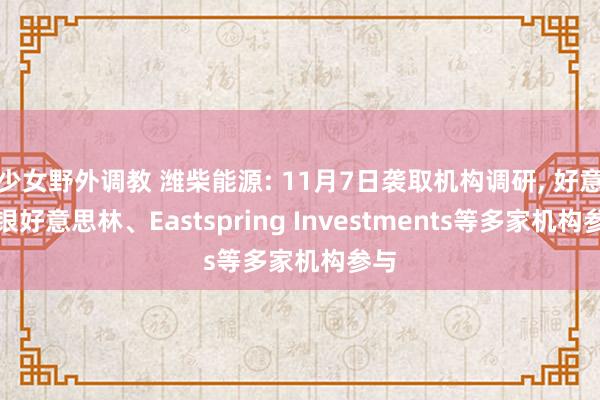 少女野外调教 潍柴能源: 11月7日袭取机构调研， 好意思银好意思林、Eastspring Investments等多家机构参与